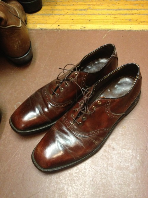 Oxfords at Sweet Lorain